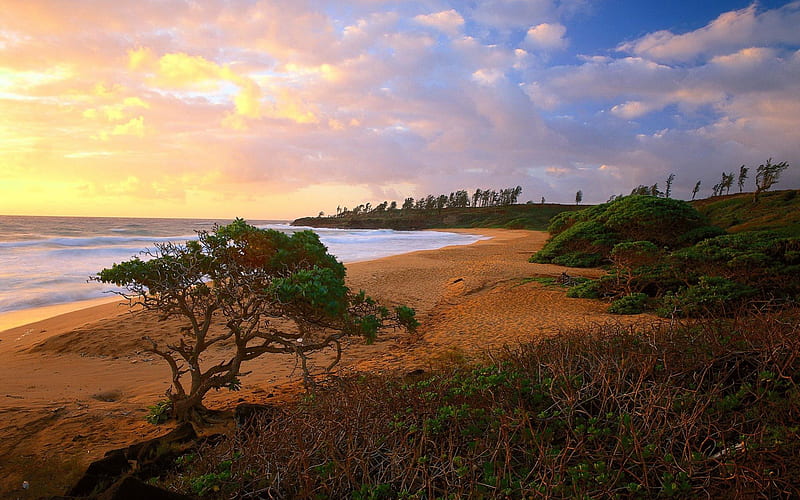 A Perfect View, view, ocean, perfect, sunset, sky, clouds, shrubs, sea, beach, HD wallpaper