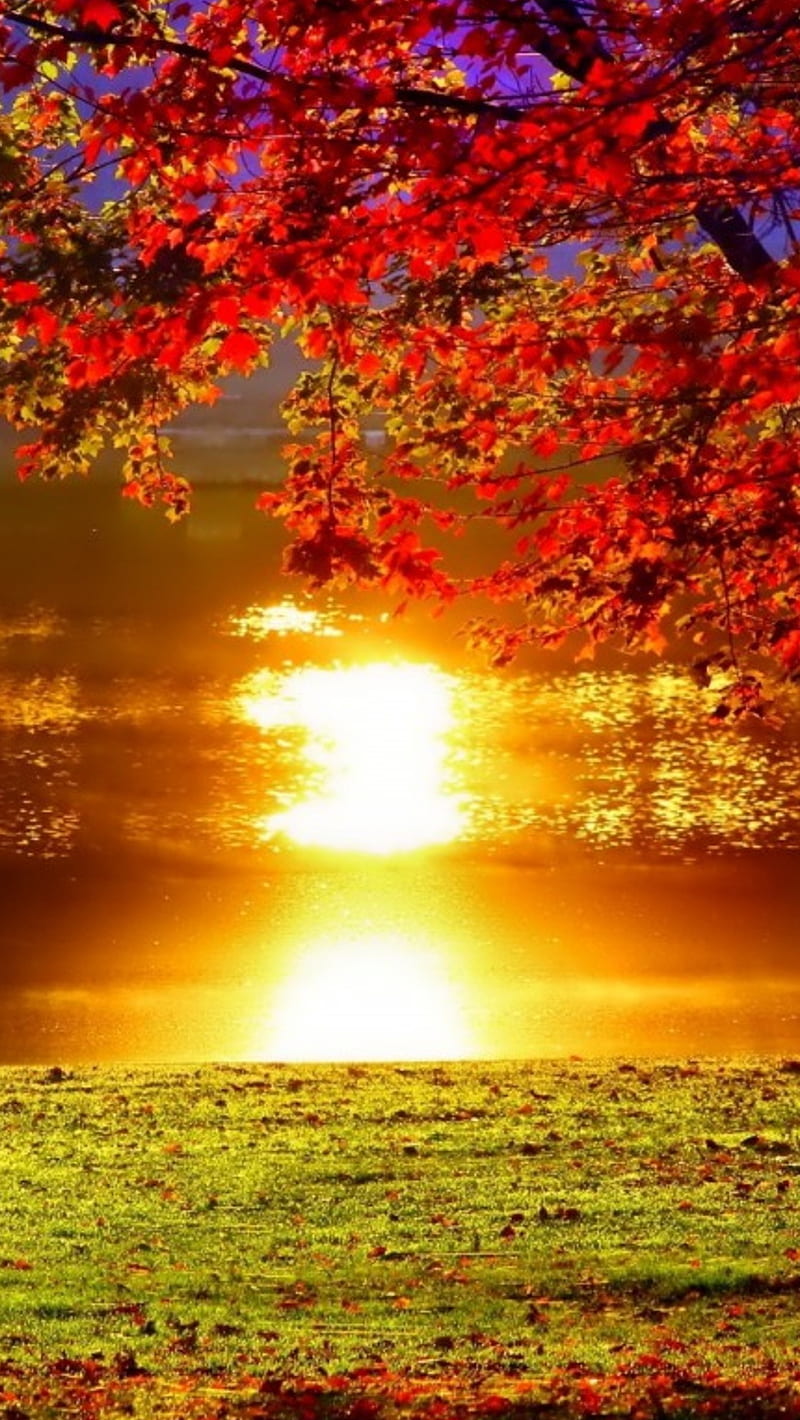 Sunset, nature, reflection, HD phone wallpaper | Peakpx