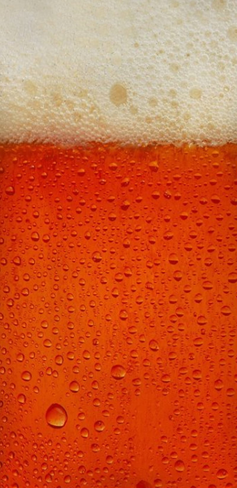 Beer, alcohol, beer glass, drink, foam, glass, orange, red, wet, wood, HD phone wallpaper