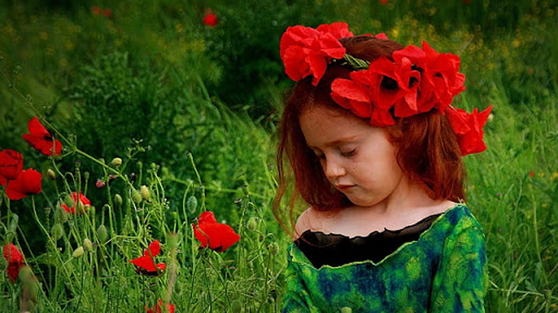 Cute Little Girl Is Standing In Red Common Poppy Flowers Field Wearing Green Blue Black Dress Cute, HD wallpaper