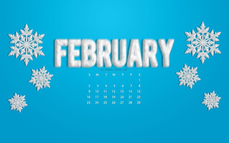 2020 February Calendar, 2020 concepts, blue background, fluffy white snowflakes, Monthly calendar, February 2020, calendar, HD wallpaper