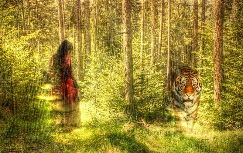 Forest, autumn, tree, fantasy, girl, tiger, HD wallpaper