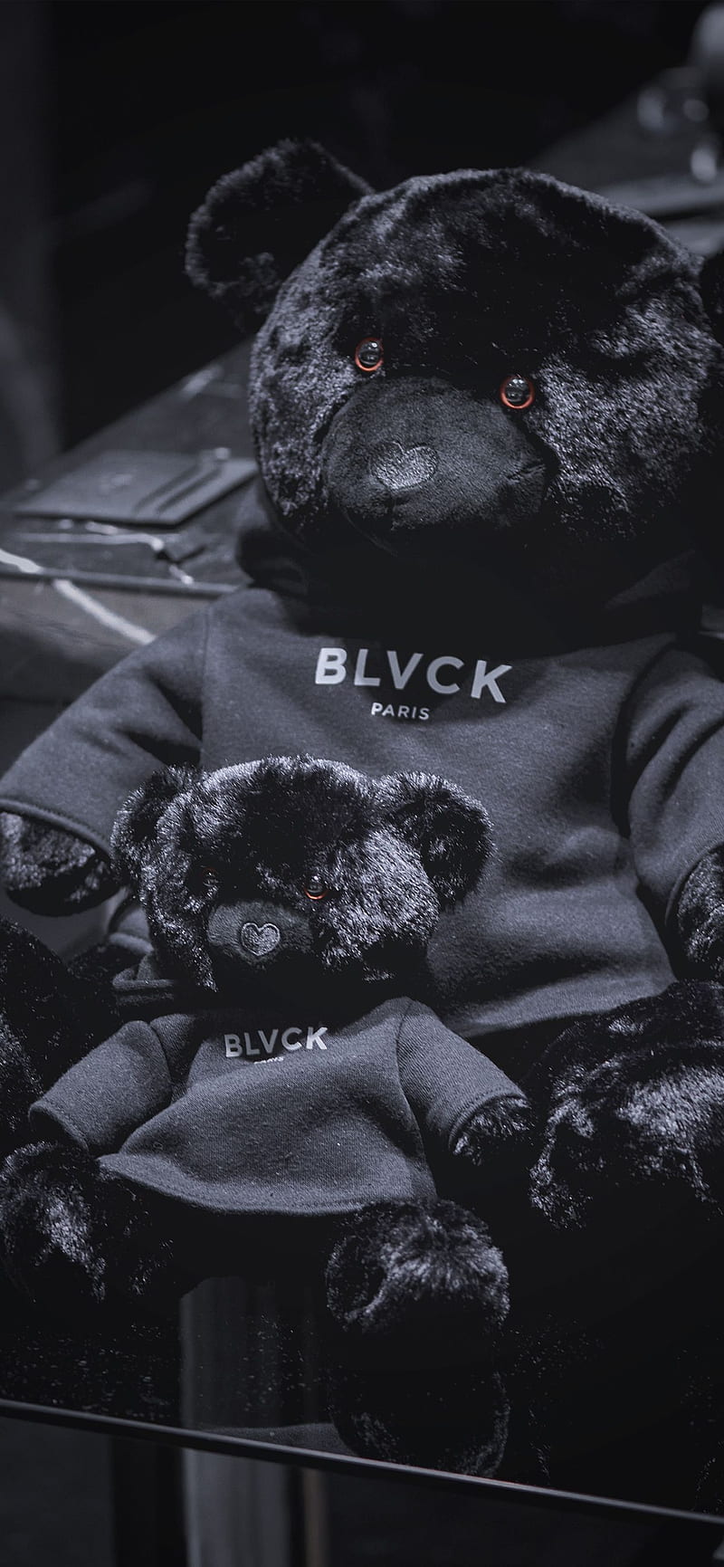 BlackParis, animal, bear, black, HD phone wallpaper | Peakpx