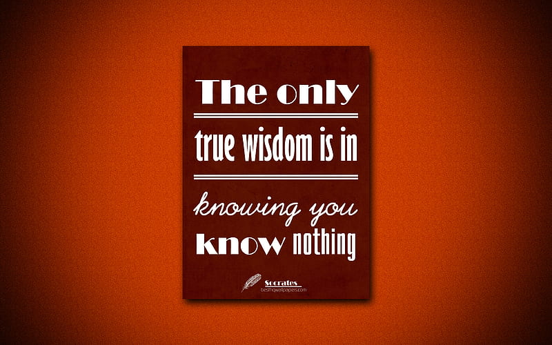 The only true wisdom is in knowing you know nothing, Socrates, orange paper, popular quotes, inspiration, Socrates quotes, quotes about wisdom, HD wallpaper