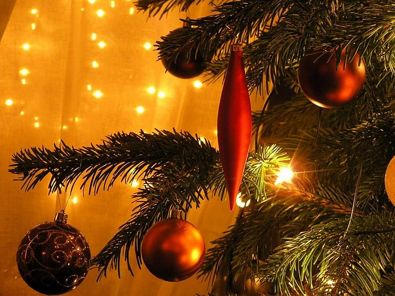 Christmas Tree, home, tree, christmas, decirated, HD wallpaper