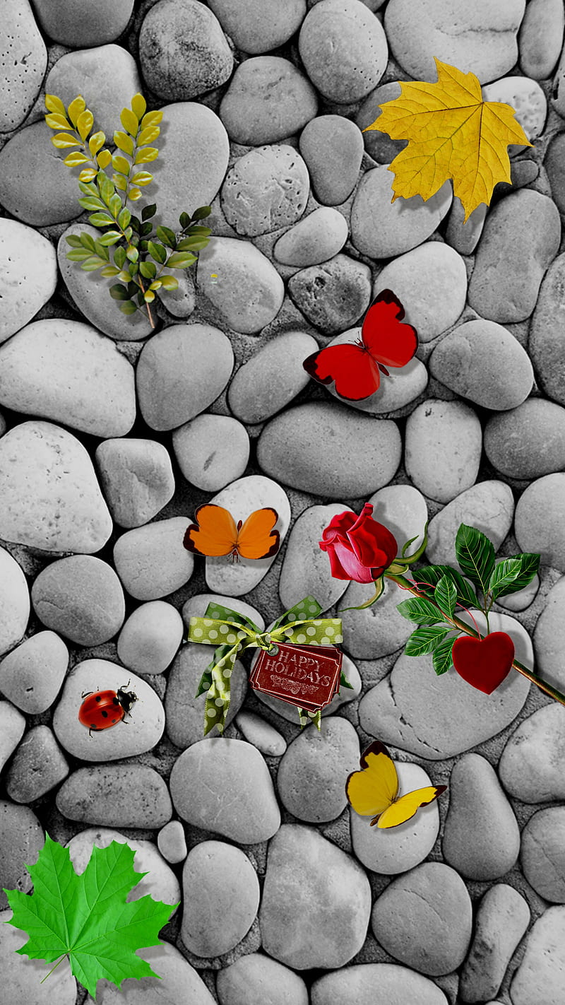 Happy holidays, love, roses, heart, stones, pebble, butterflies, sayings, leaves, ladybug, HD phone wallpaper