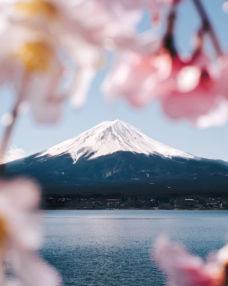 mountain, volcano, top, fuji, japan, HD phone wallpaper
