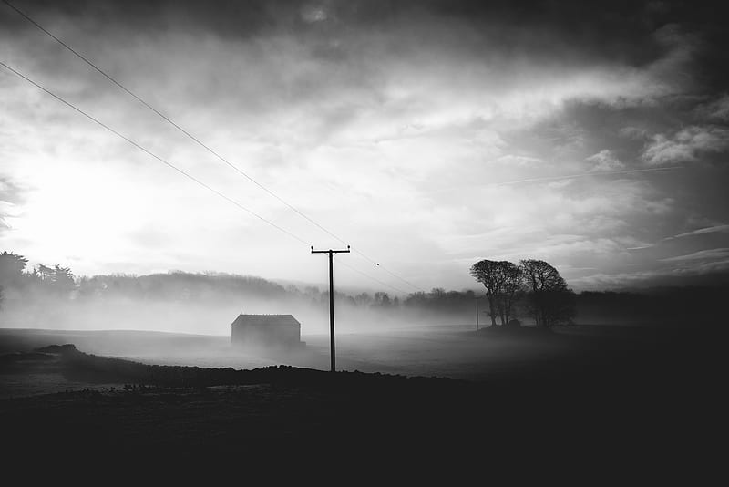 fog, dusk, landscape, bw, gloomy, HD wallpaper