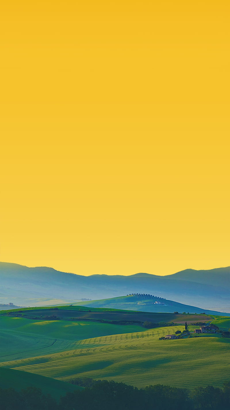yellow, eyad, HD phone wallpaper