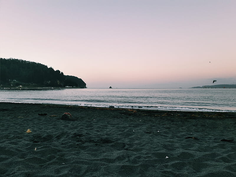 of Seaside During Dawn, HD wallpaper