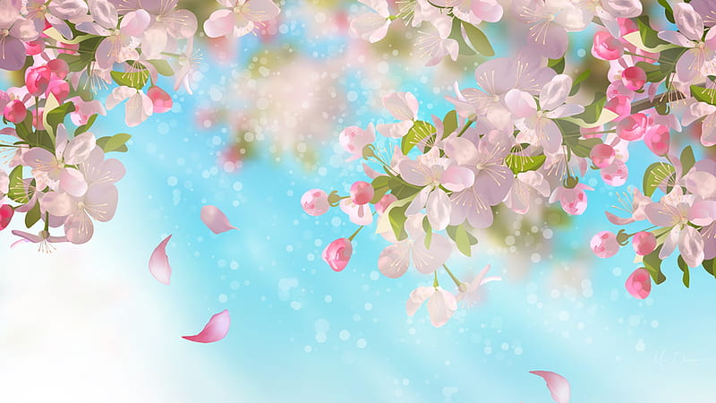 SAKURA, spring, sky, apple blossoms, cherry blossoms, flowers, petals, plum blossoms, Firefox Persona theme, blue, HD wallpaper