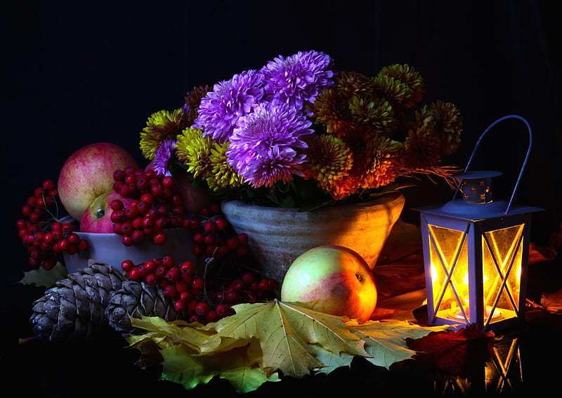 Autumn Still Life, Fall, lantern, apples, pot, pine cones, still life, leaves, Thanksgiving, berries, flowers, flower pot, Autumn, bowl, HD wallpaper