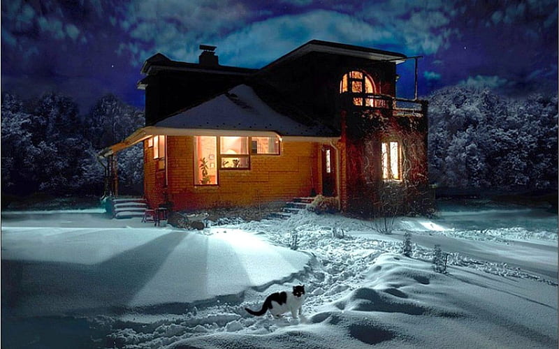 Winter Night, house, snow, path, evening, light, HD wallpaper