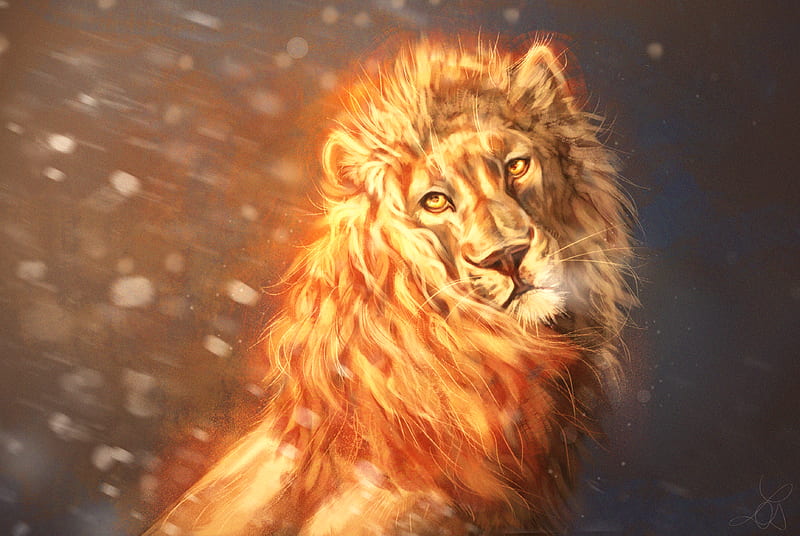 lion, glance, art, predator, king of beasts, HD wallpaper