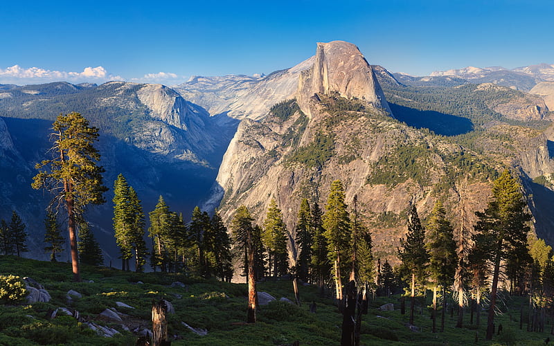 Yosemite National Park, California, Forest, Mountains, Trees, Half Dome, Rocks, HD wallpaper