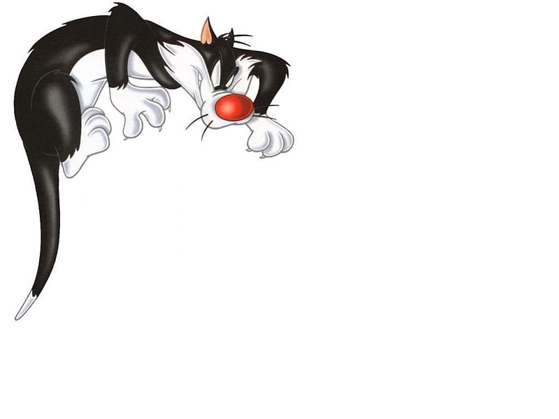 Sylvester the cat, sylvester, anime, sylvester the cat, cartoon, cat,  animals, HD wallpaper | Peakpx