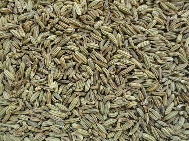 Fennel Seeds, Seed, Seeds, Nature, Fennel, HD wallpaper