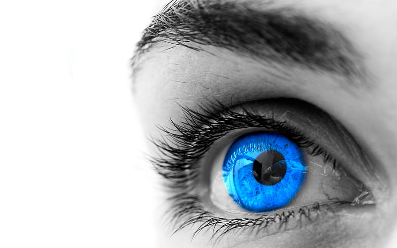 BEAUTIFUL BLUE EYE, eye, brow, cornea, lashes, blue, HD wallpaper
