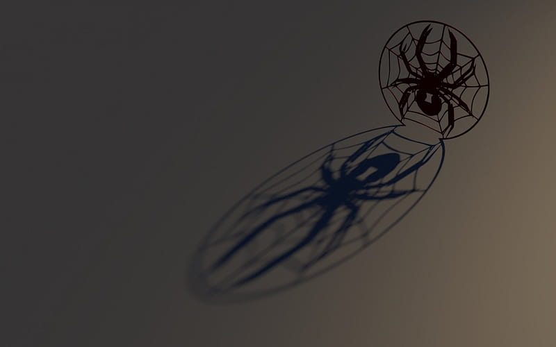 Tarantula Spider Drawing Illustration 16416988 Vector Art at Vecteezy