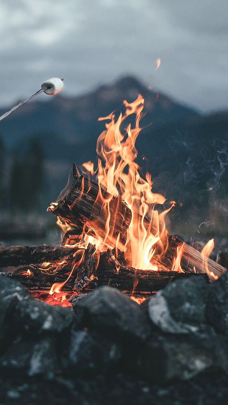 Camping, fire, nature, wood, HD phone wallpaper