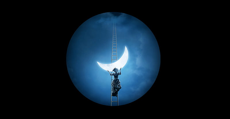 Artistic, Moon, Crescent, Ladder, Woman, HD wallpaper