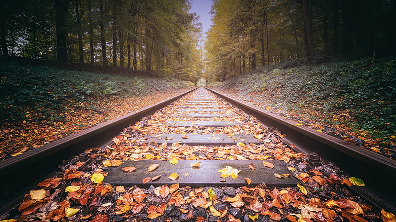 Railway Track, railroad, track, nature, graphy, HD wallpaper