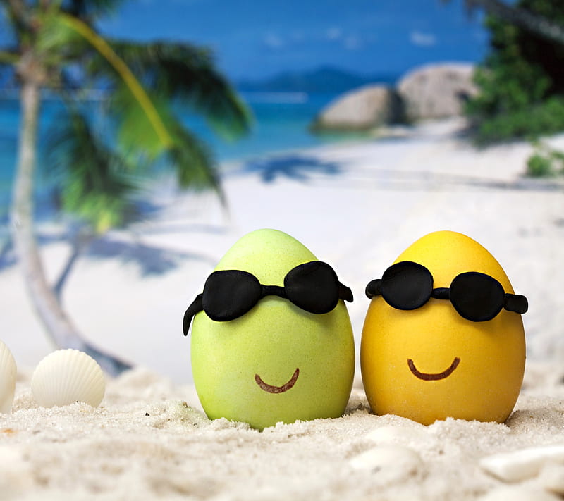 Summer Vacation, beach, eggs, face, funny, tropical, HD wallpaper