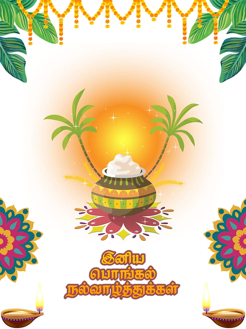 Pongal, festival, function, happy, happy pongal, quotes, sweet, tamil, HD  phone wallpaper | Peakpx
