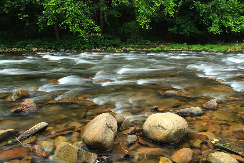 stones, river, trees, stream, HD wallpaper