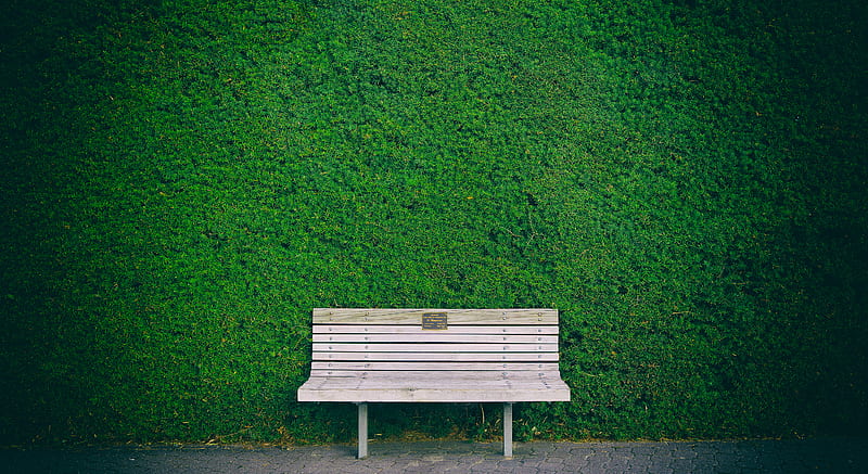 empty white wooden bench beside green wall, HD wallpaper