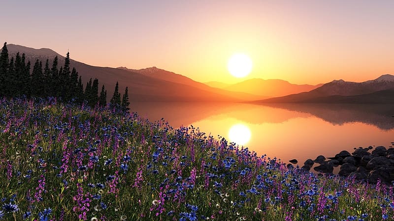 Sunset, Lake, Reflection, Flower, Sunrise, , Scenic, HD wallpaper | Peakpx