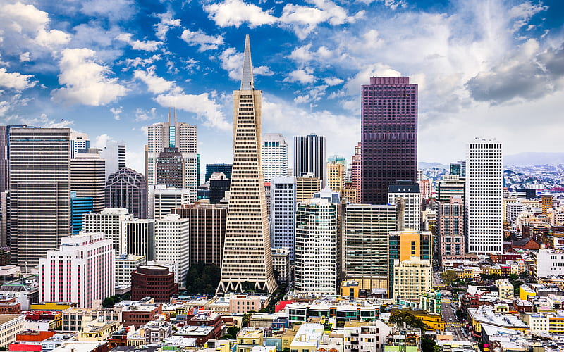 San Francisco summer, american cities, California, R, modern buildings, America, San Francisco skyline, USA, City of San Francisco, Cities of California, HD wallpaper
