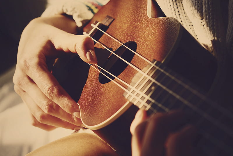 ukulele, instrument, music, hand, Others, HD wallpaper