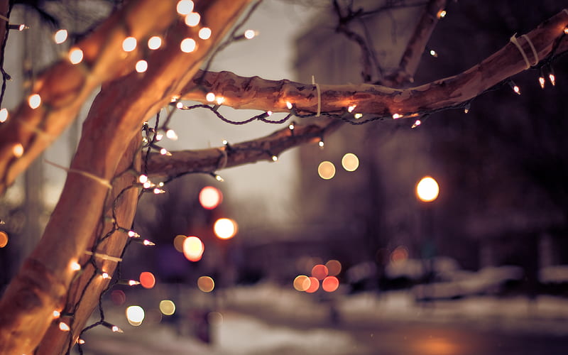 brown string lights in bokeh graphy, city, cityscape, trees, lights, Christmas, winter, nature, urban, depth of field, bokeh, HD wallpaper