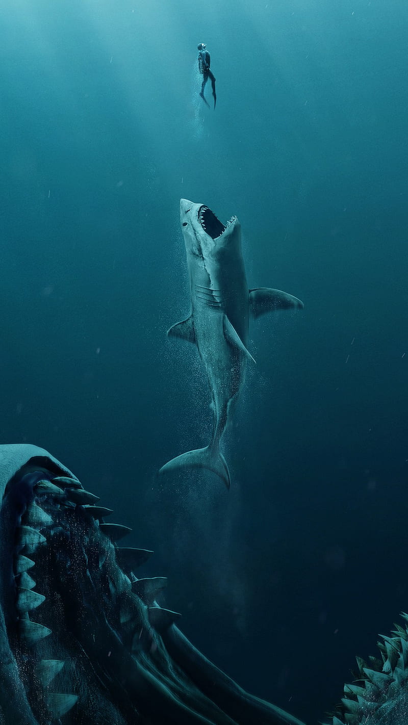 The Meg 2018 , creatures, dolphins, sea, shark, sharks, HD phone wallpaper