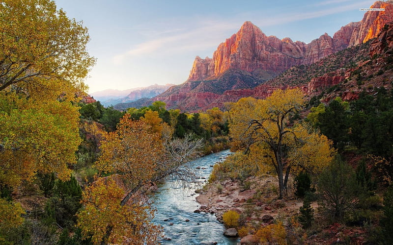 Magnificent canyon river, tree, river, grass, canyon, HD wallpaper | Peakpx