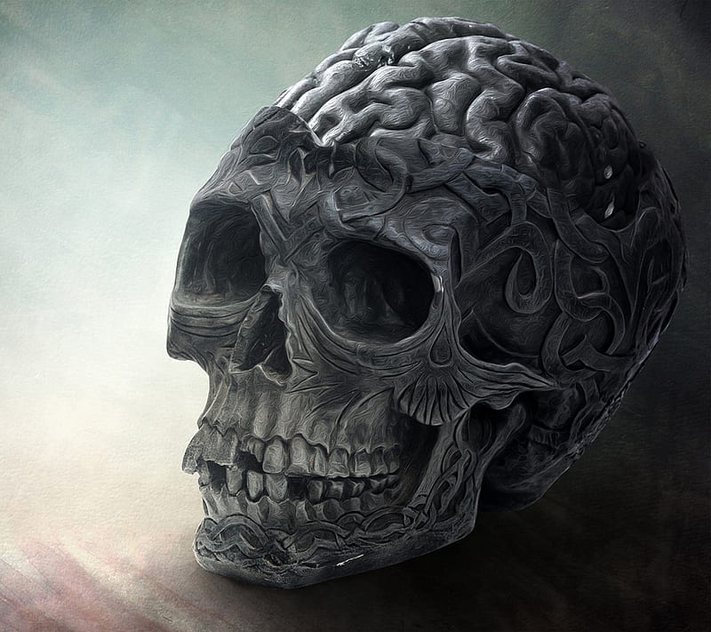 Brainy Skull, abstract, brain, skeleton, HD wallpaper