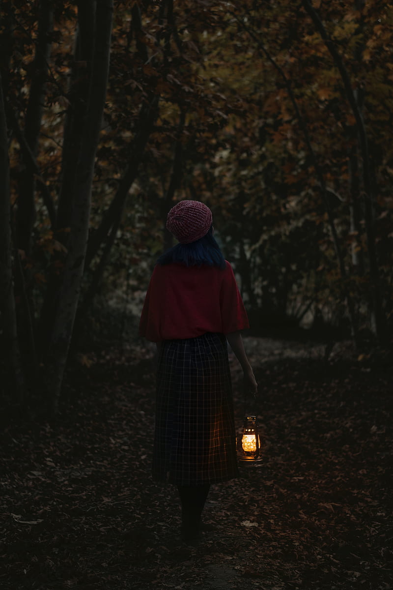 girl, alone, forest, lantern, HD phone wallpaper