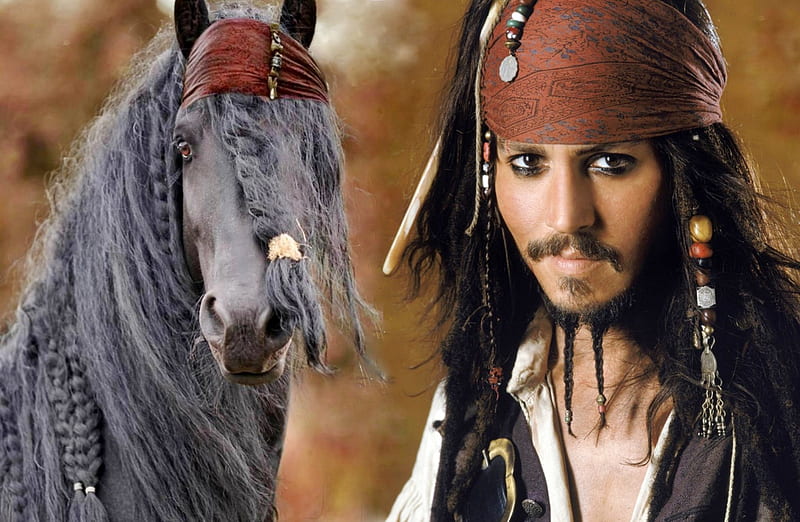 How we look - we have the same hairdresser, hairstyle, funny, horse, Johnny Depp, HD wallpaper