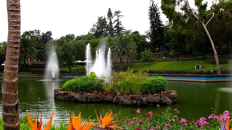 Garden With Water Fountain Green Trees And Florals Garden, HD wallpaper