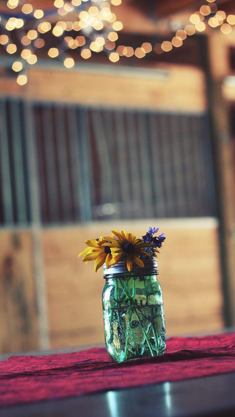 Jar-Nature, bonito, jar, nature, HD phone wallpaper