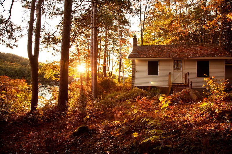 Sunset-R, architecture, pretty, house, riverbank, sun, grass, sunset, shrubs, nice, calm, beauty, season, harmony, lovely, sky, trees, water, cool, rays, great, landscape, fall, colorful, autumn, woods, bonito, villa, graphy, leaves, river, scenery, forest, amazing, view, sunlight, colors, lake, r, nature, HD wallpaper