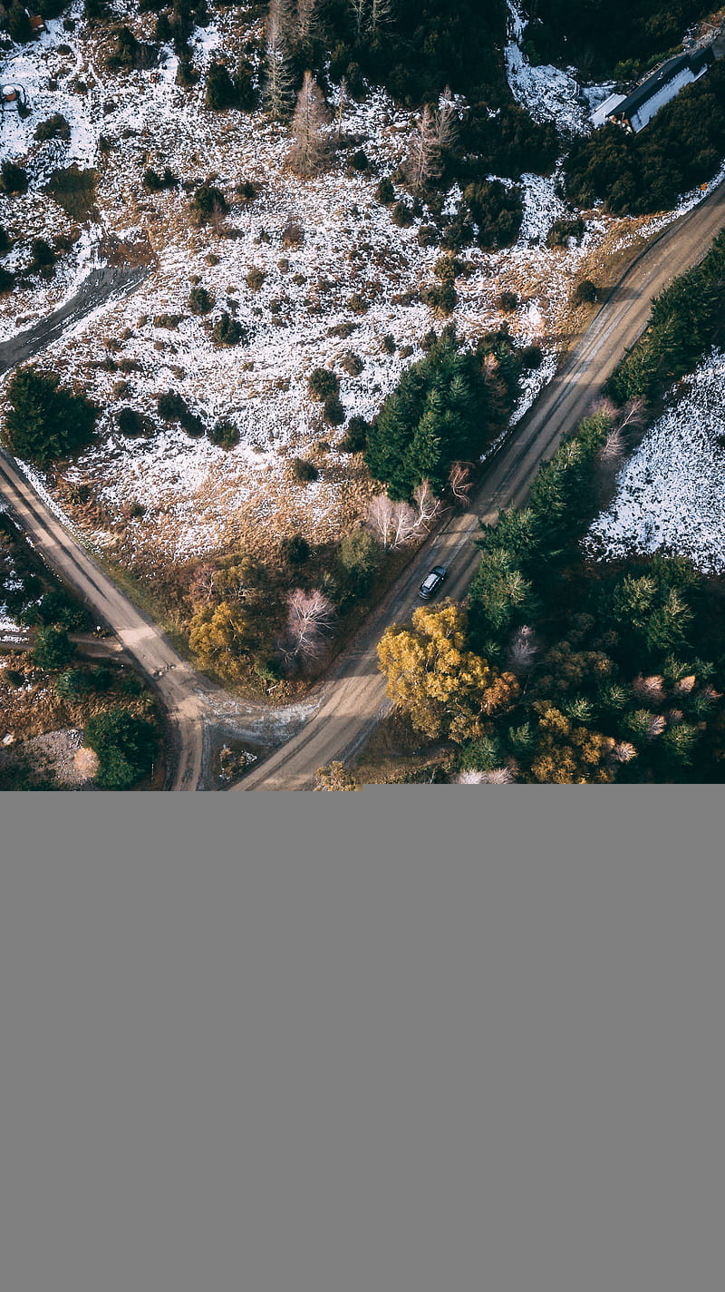 aerial view of road in the middle of trees, HD phone wallpaper