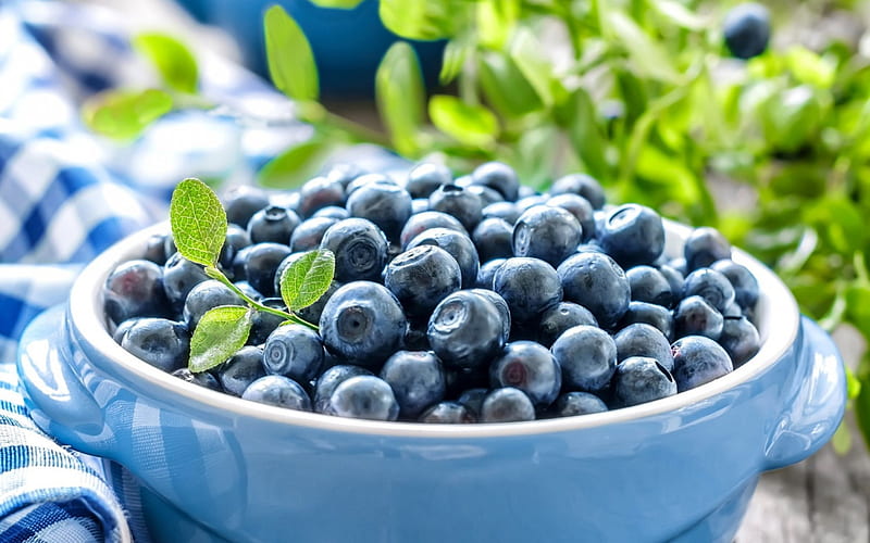 blueberries, plate of berries, blue berries, wild berries, useful berries for eyes, HD wallpaper
