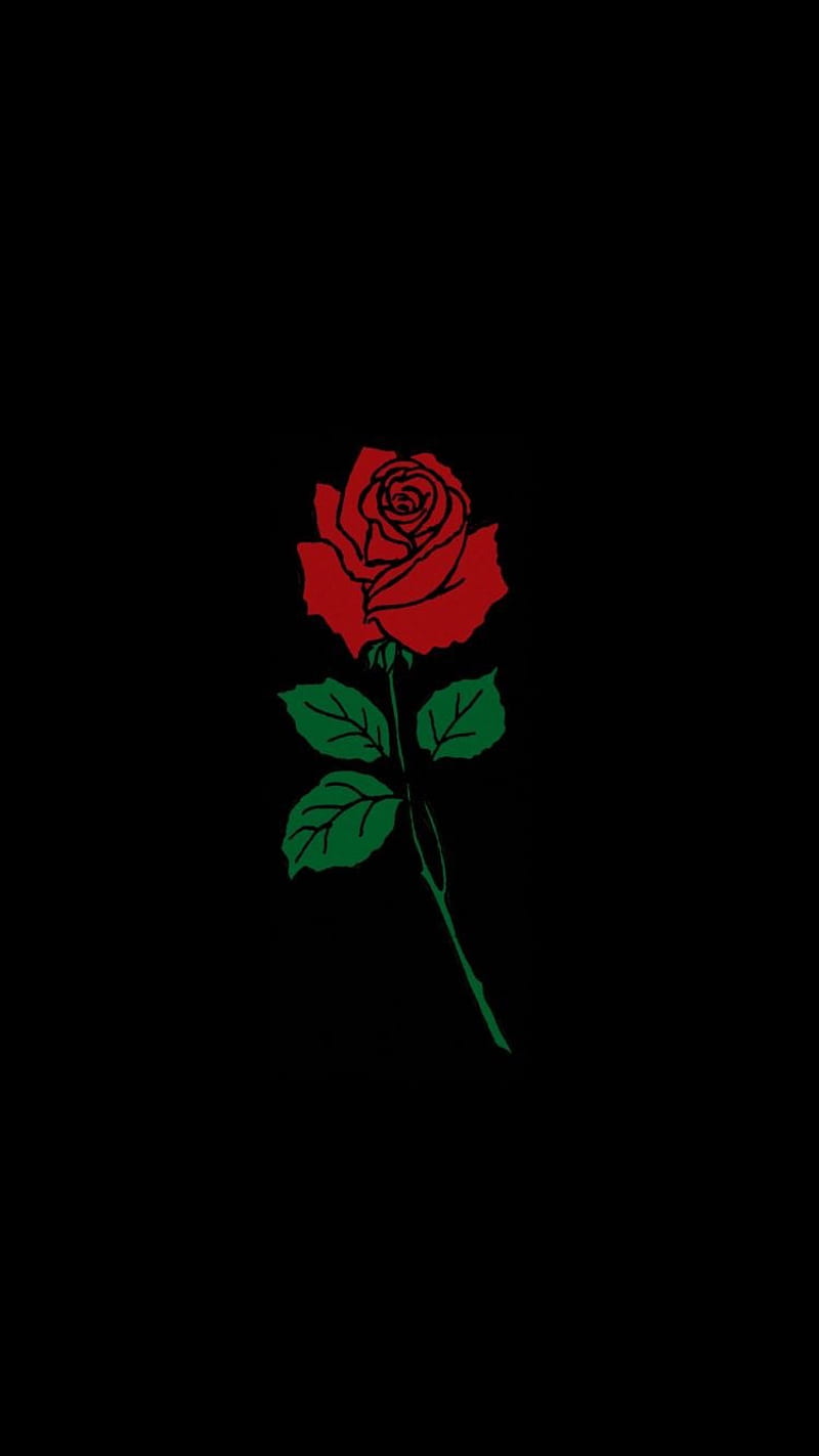 La rosa, rose, themes, HD phone wallpaper