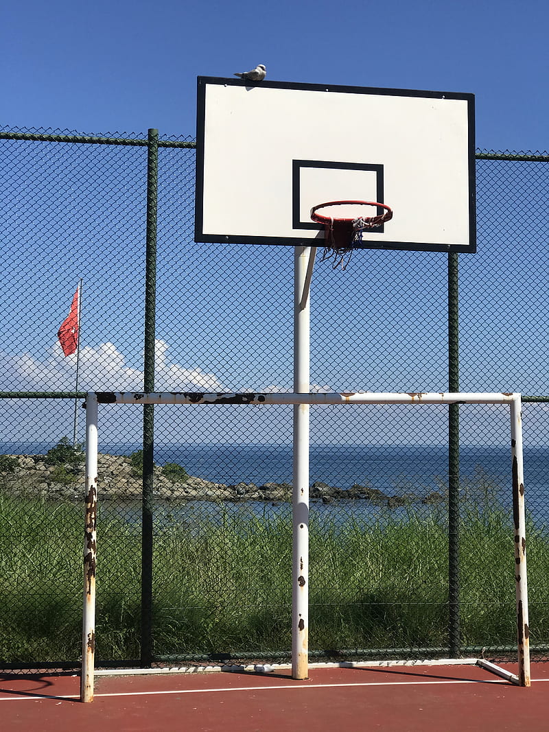 White and Red Basketball Hoop, HD phone wallpaper