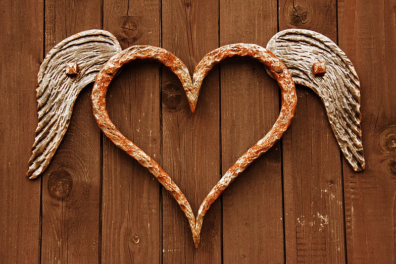 Rusty Heart, wings, heart, texture, rusty, iron, winged, wood, door, HD wallpaper