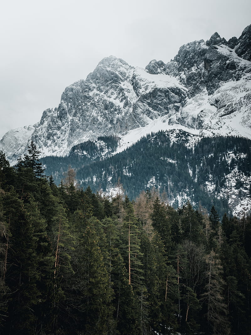 mountains, trees, peaks, snowy, germany, HD phone wallpaper