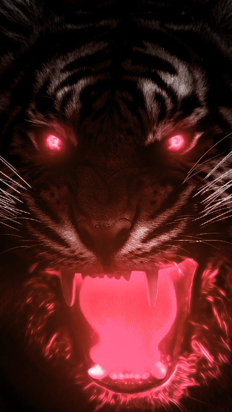 Angry tiger, animal, big, cat, mad, red, wild, HD phone wallpaper | Peakpx