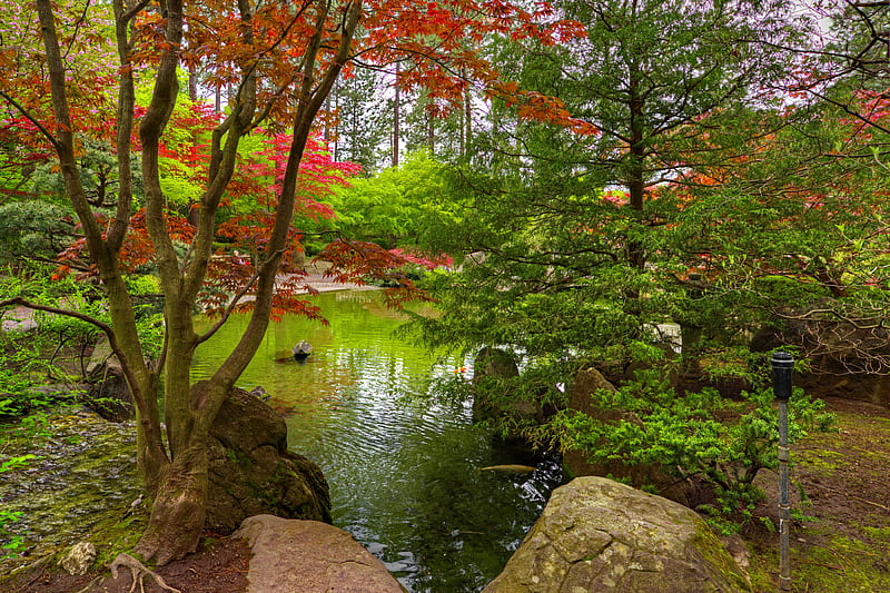 Japanese garden in early autumn, autumn, japanese, early, garden, bonito, park, trees, pond, stones, serenity, HD wallpaper